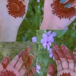 Mandavi Verma - @mandavi8285 - Instagram