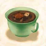 Mandee Smith - @caffeinatedturtlegirl - Instagram