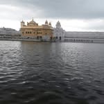 Mandeep Basi - @mandeepbasi - Instagram