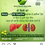 Mandeep Chandi - @guru_nanak_ayurveda_centre - Instagram