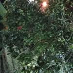 Mandeep Mann - @wolf.6013733 - Instagram