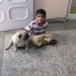 Mandeep Pal - @mandeeppal - Instagram