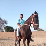 Mandeep Sohal - @mandeep3141 - Instagram