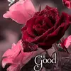 mandeep thind - @mandeepthind36 - TikTok