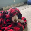 Jackson Mandelkow - @jackson.c.mandelkow - TikTok