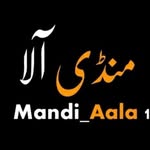 MANDI. ALY - @mandi._aly - Instagram