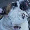 Mandi Anderson - @mandi.anderson41 - TikTok