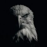 @anthony_mandi_ - Instagram