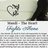 mandiashley5 - @mandiashley5 - TikTok