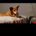 Mandy Baker - Facebook