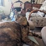 Mandi Beck - @amandabeck72 - Instagram