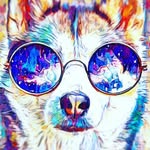 Mandi best - @cat_sparkle380 - Instagram
