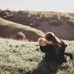 Mandi Black - Facebook