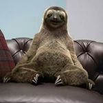 Mandy Collier - @millystaffs - Instagram
