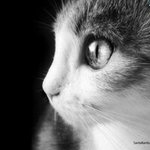 Mandi Cox - @cmandi - Instagram