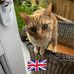 Mandy Davidson - Facebook
