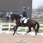 Mandy Day - @mandy_daydressage - Instagram