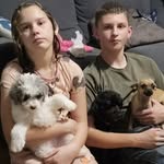 Mandi Duncan Bauserman - @mbauserman35 - Instagram