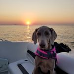Mandi Elliott - @oakley0811 - Instagram