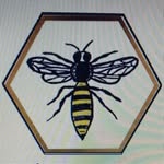 Mandi Fox-McKeen - @queen_bee_remedies_llc - Instagram