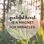 Mandi Hansen - @grateful_happy_life - Instagram