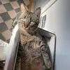 mandihansen159 - @magnificentmandi - TikTok
