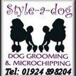 Mandy Harper - @styleadog2015 - Instagram