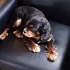 Mandy Harper - @mandy.harper5 - TikTok