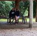 Mandy Harper - Facebook