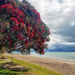 Mandi Henderson - @hendersoncrusoe - Instagram
