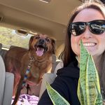 Mandi Hogan - @mandihogan1 - Instagram