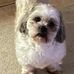 Amanda Holmes - Facebook