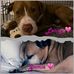 Mandi Hudson - Facebook