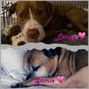 mandihudson972 - @mandihudson972 - TikTok