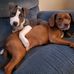 Mandi Huff - Facebook