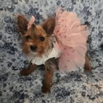Mandy Huff - @itsme042976 - Instagram