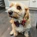 Mandy Lawrence - Facebook