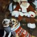 Mandi Lemaster - Facebook