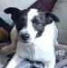 Amanda Lowe - Facebook