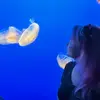 Life.of.a.Mandilyon000 - @life.of.a.mandilyon - TikTok