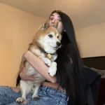 Mandy And Major🐕🎥 - @adventuresofmandyand - Instagram