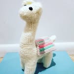 Madison Meldrum - @yarnqueen_bymadie - Instagram