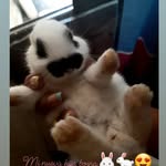 Mandi Morales - @mandi_laprincesa - Instagram