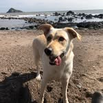 Amanda Moss - @a.m.a.n.d.a.1.7 - Instagram