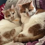 Mandy Mueller - @midnightlady_78 - Instagram