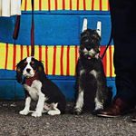 Amanda Nickerson - @lordandbaron - Instagram