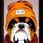 Mandi.🐾Norman.🐾 - @nomorebull2 - Instagram