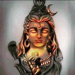 Prince Mandi Wala - @prince_mandi_wala - Instagram