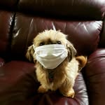 Mandi Russell - @puppigrlgrams - Instagram