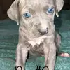 Wakeupnbakeup - @mandisanchez6928 - TikTok